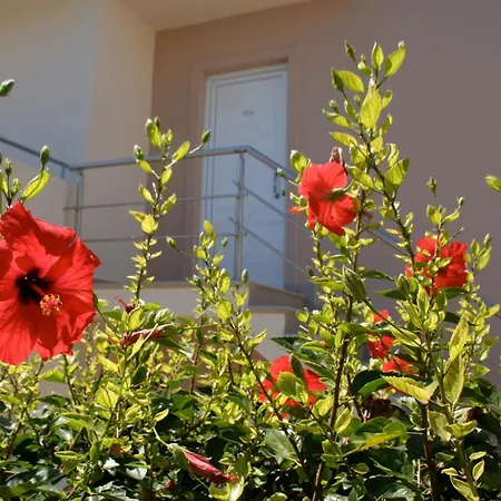 Hotel Amaryllis Front Lardos