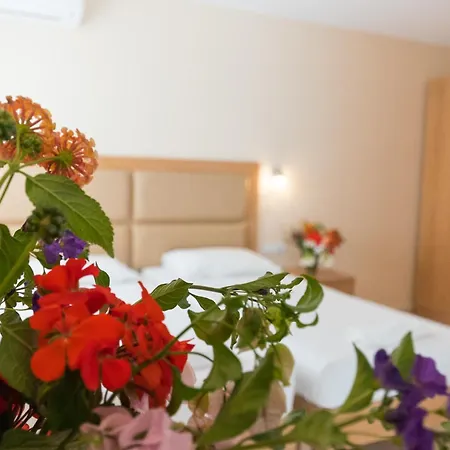 Hotel Amaryllis Front 3*