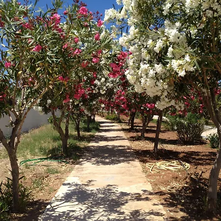 Hotel Amaryllis Front Lardos