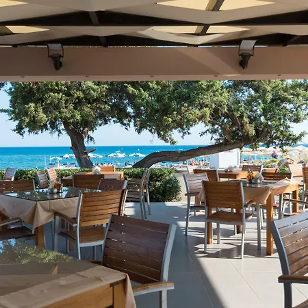 Amaryllis Front Hotel 3*