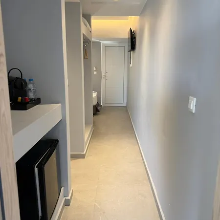 Amaryllis Front 라도스