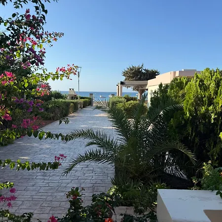 Amaryllis Front 3* Lardos