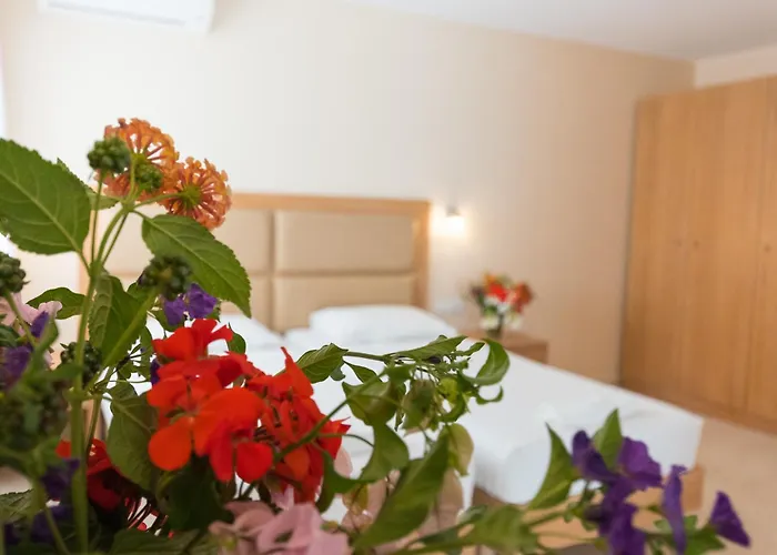 Hotel Amaryllis Front 3*