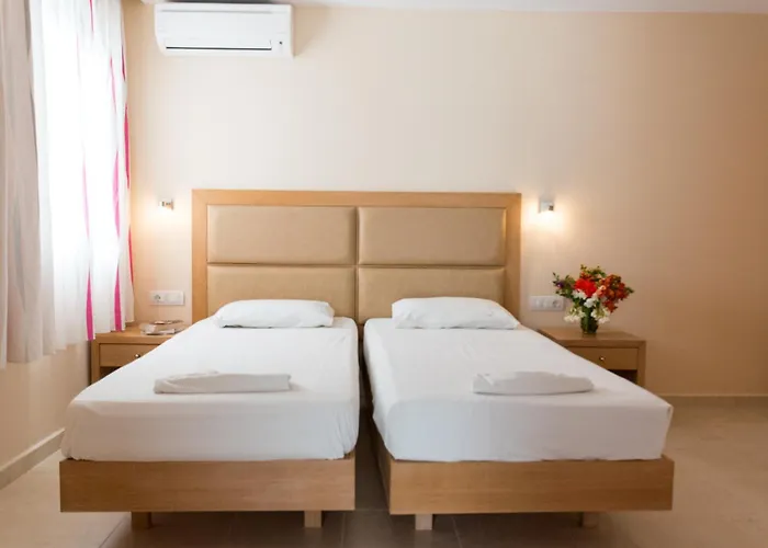 Amaryllis Front 라도스