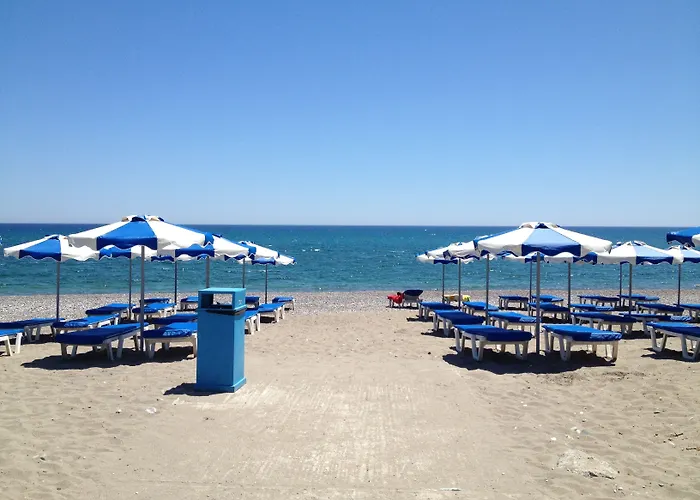 Amaryllis Front 라도스