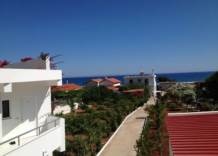 Amaryllis Front 3* 라도스