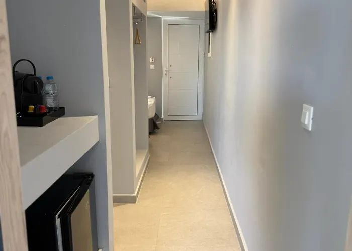 Amaryllis Front 라도스