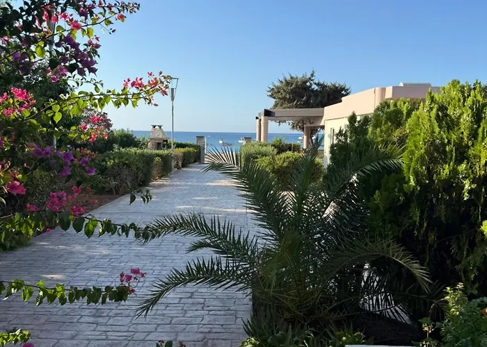 Amaryllis Front 3* 라도스