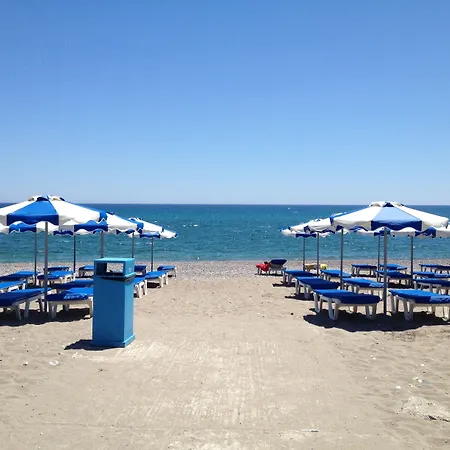 Amaryllis Front Lardos