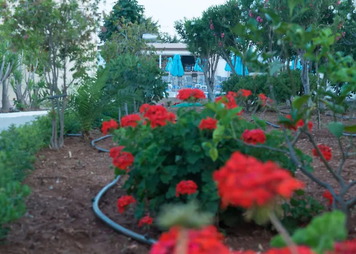 Amaryllis Front Hotel